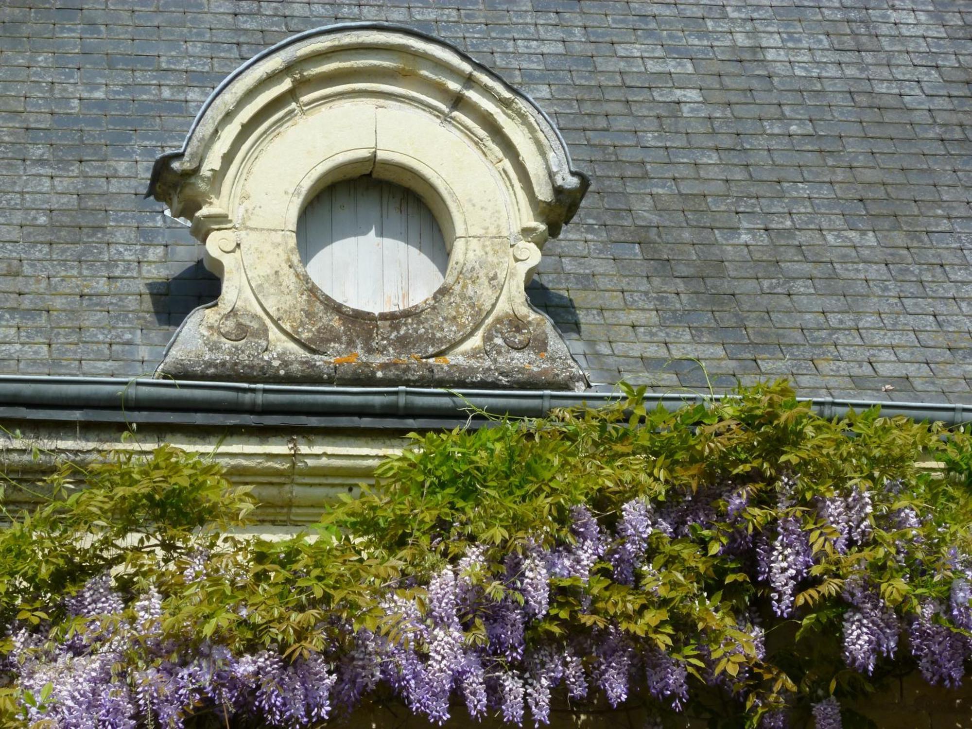 Manoir De Boisairault Bed & Breakfast Le Coudray-Macouard Dış mekan fotoğraf