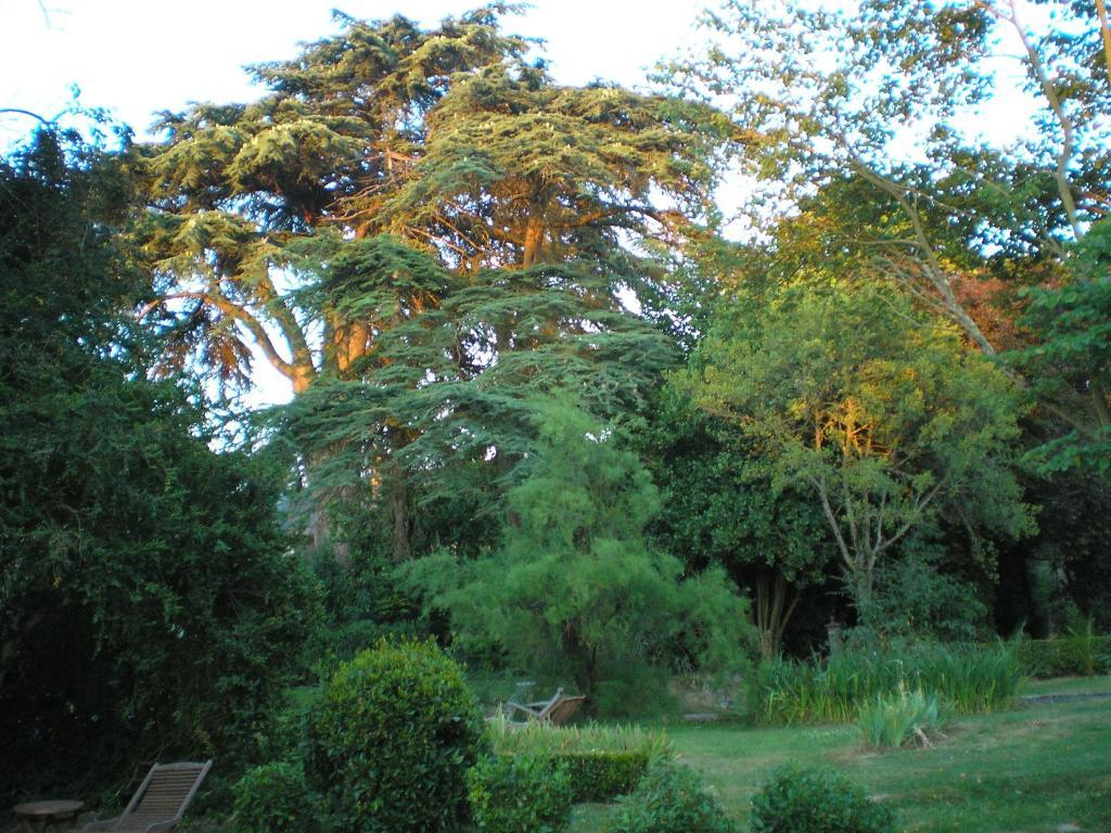Manoir De Boisairault Bed & Breakfast Le Coudray-Macouard Dış mekan fotoğraf