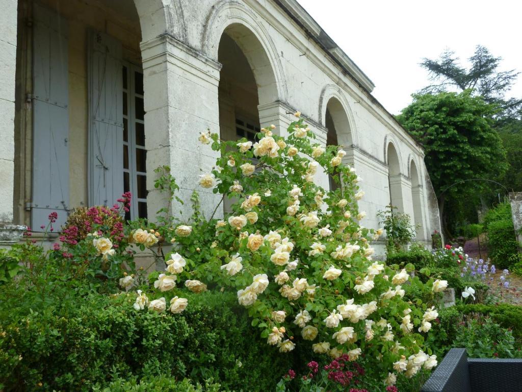Manoir De Boisairault Bed & Breakfast Le Coudray-Macouard Dış mekan fotoğraf