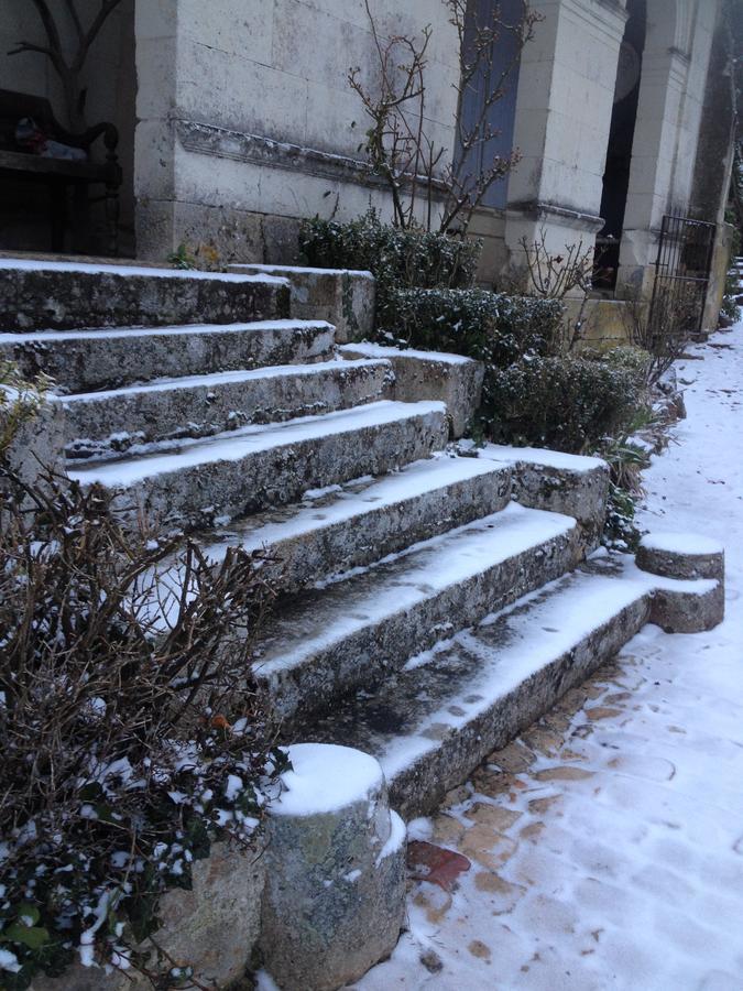 Manoir De Boisairault Bed & Breakfast Le Coudray-Macouard Dış mekan fotoğraf